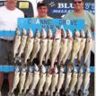 Walleye Fishing Vermilion